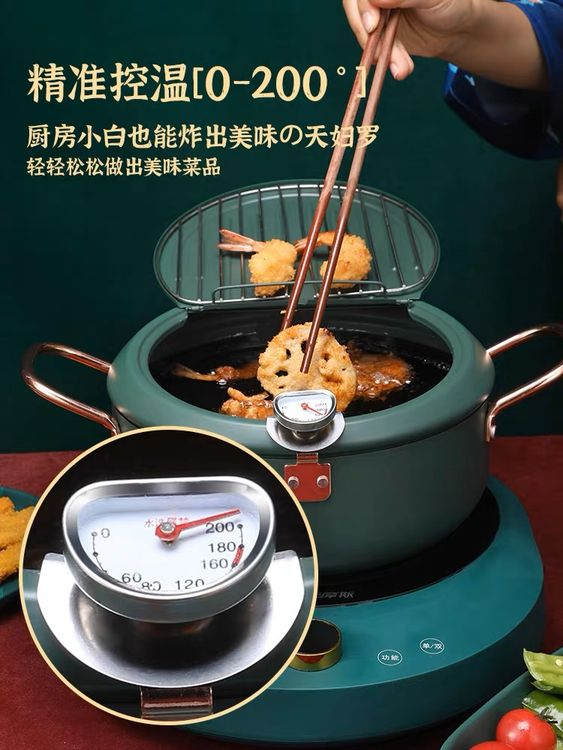 Household Fryer Stainless Steel Temperature Controllable -20cm