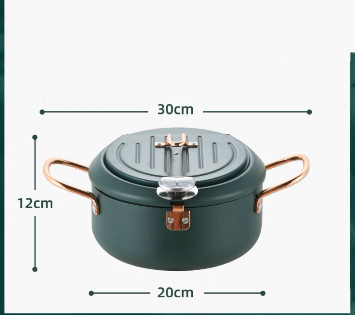 Household Fryer Stainless Steel Temperature Controllable -20cm