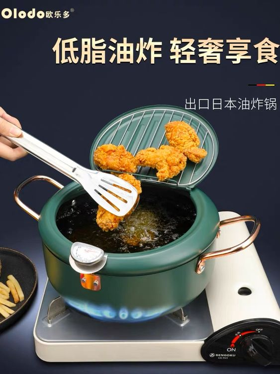 Household Fryer Stainless Steel Temperature Controllable -20cm
