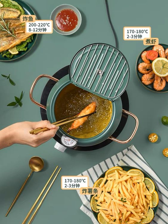 Household Fryer Stainless Steel Temperature Controllable -20cm