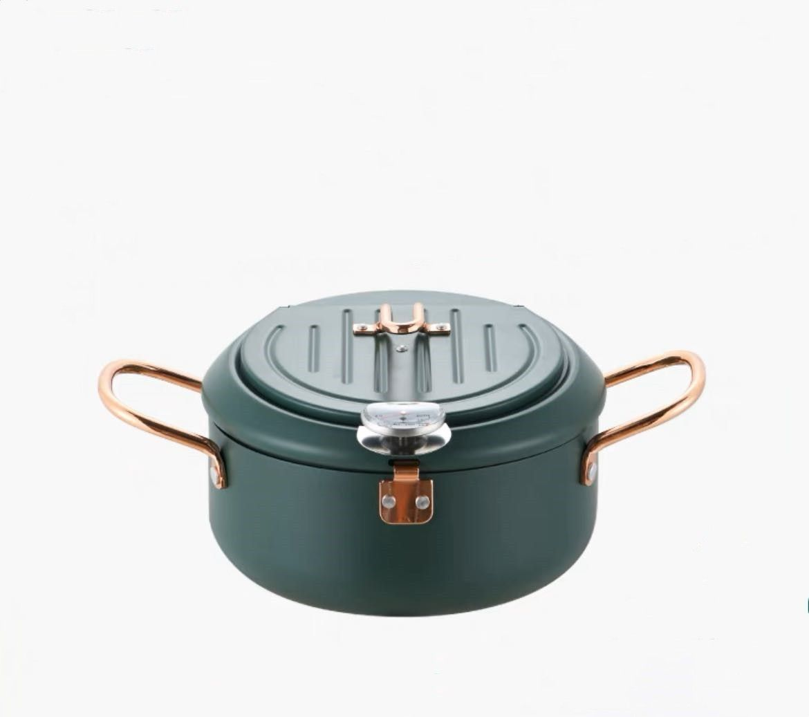 Household Fryer Stainless Steel Temperature Controllable -20cm