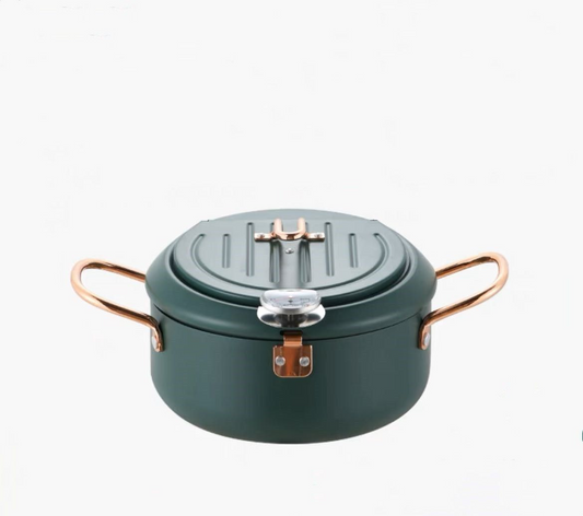 Household Fryer Stainless Steel Temperature Controllable -20cm